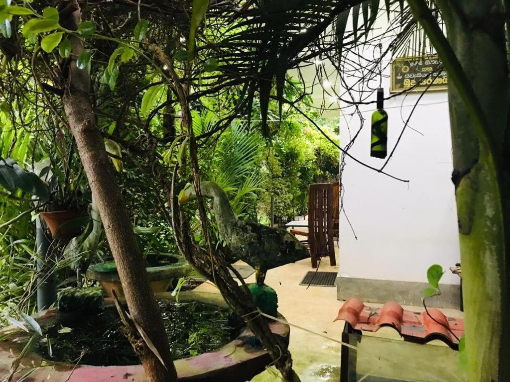 Green Jade Inn Mirissa Exterior photo