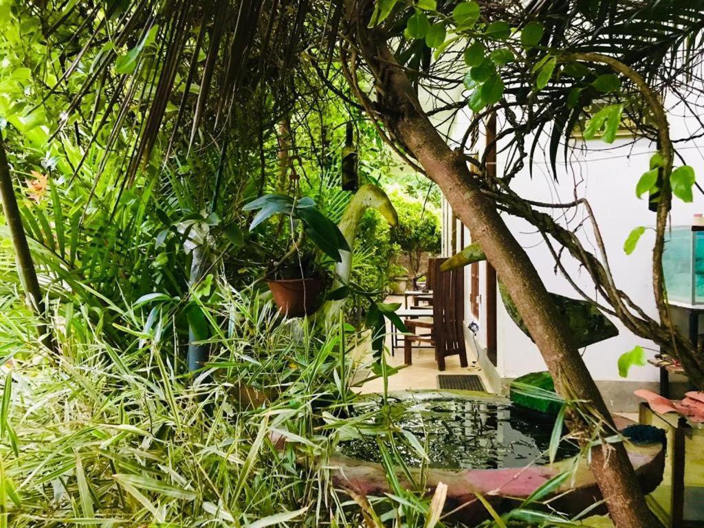 Green Jade Inn Mirissa Exterior photo
